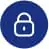 100% secured payment !